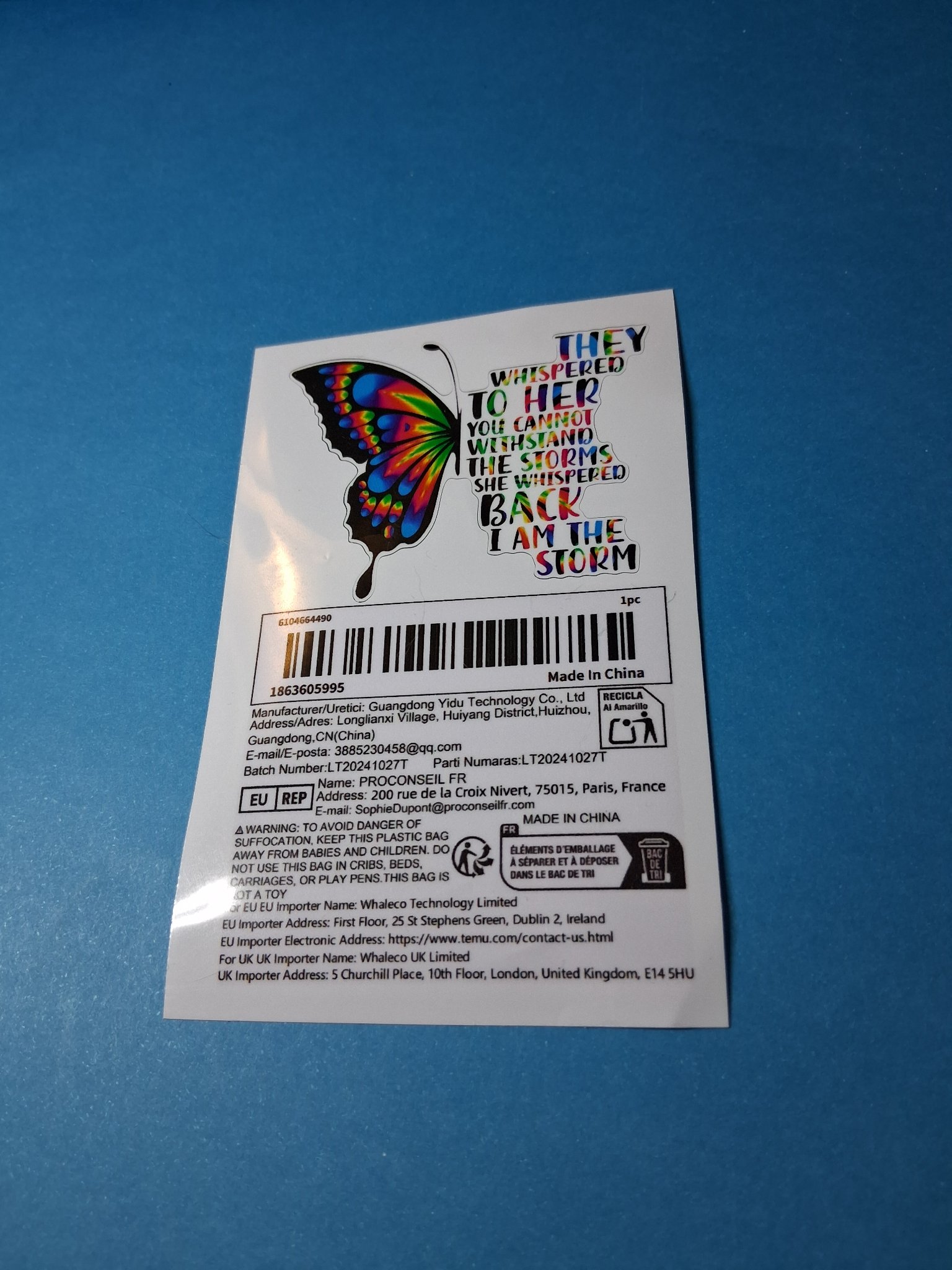 Sticker — 184 "I Am The Storm" Rainbow Butterfly (1 pc)